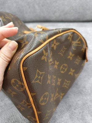 Vuitton Speedy 25 Monogram Canvas Handbag
