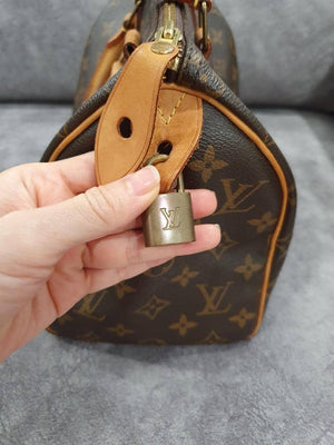 Vuitton Speedy 25 Monogram Canvas Handbag