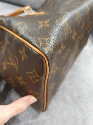 Vuitton Speedy 25 Monogram Canvas Handbag