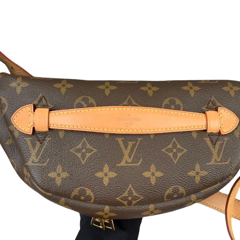 LOUIS VUITTON Monogram Bumbag 257236