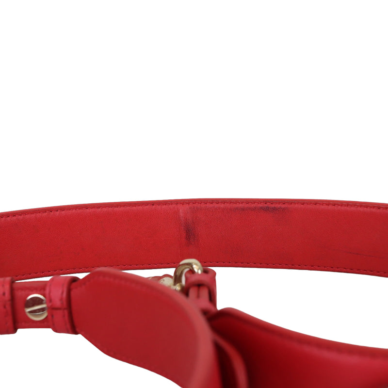 Small My Lady Dior Lucky Badges Lambskin Red GHW