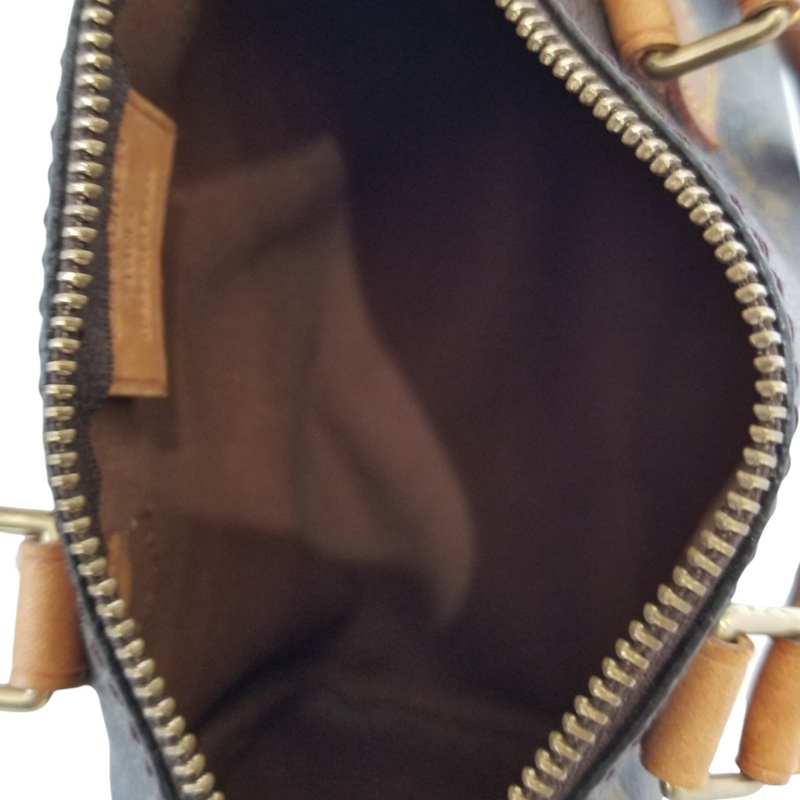 Mini Speedy Monogram Handbag