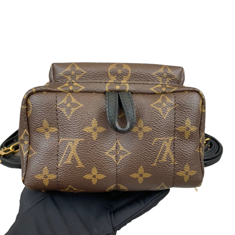 Louis Vuitton Monogram My World Tour Palm Springs Backpack Mini