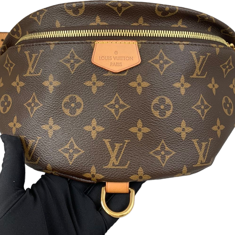 NEW LOUIS VUITTON Monogram High Rise Bumbag - MyDesignerly