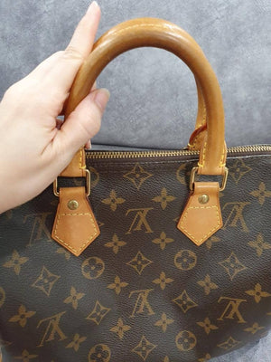 Vuitton Speedy 25 Monogram Canvas Handbag
