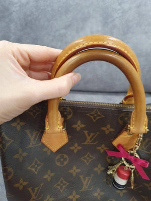 Vuitton Speedy 25 Monogram Canvas Handbag