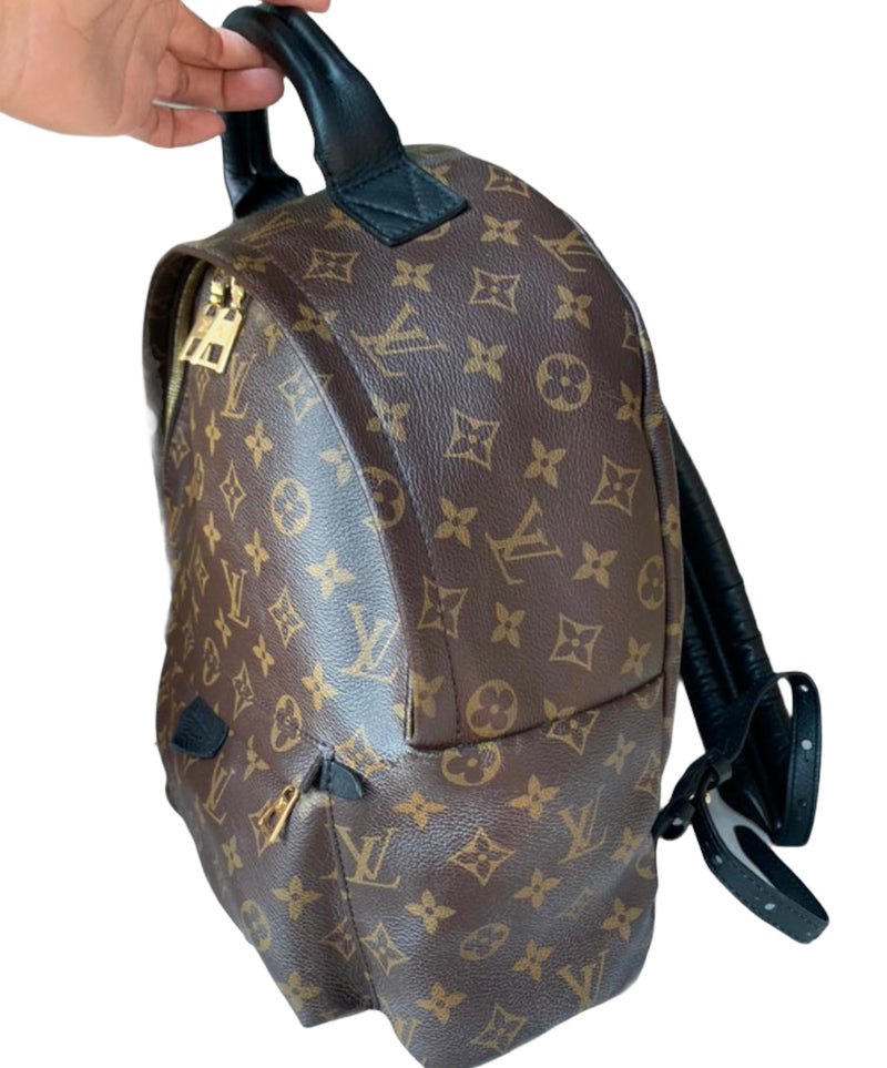 Louis Vuitton Monogram Palm Springs MM Backpack